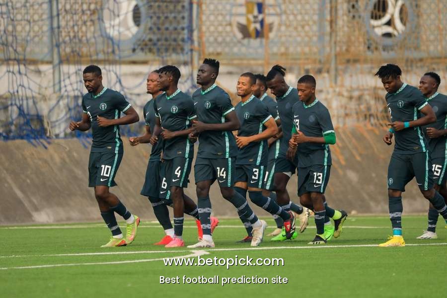 CHAN 2024: Everything you need to know about the match between Nigeria and Congo